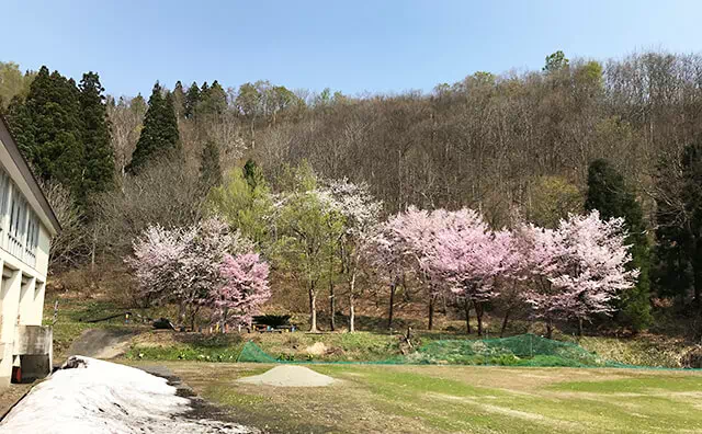 神立小学校スタジオ